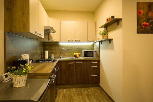 a kitchen with wooden cabinets and a counter top at Bodzaház Apartman in Tarján