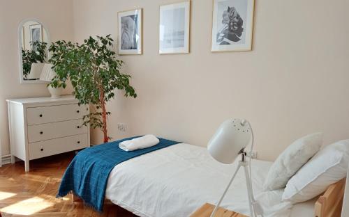 Dormitorio con cama, planta y lámpara en K2 apartment, en Przemyśl