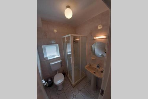 a bathroom with a shower and a toilet and a sink at Mount Alohert House in Killarney