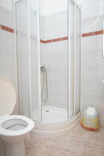 ein Bad mit einer Dusche und einem WC in der Unterkunft Penzion Terasa, bed & breakfast in Velké Losiny