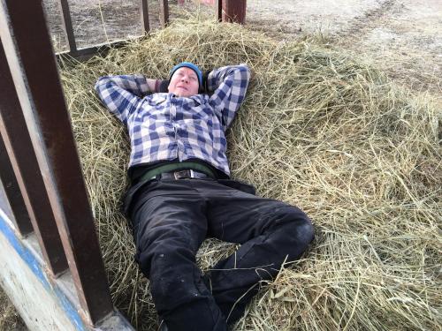 BrastadにあるToric Farmlodgeのギャラリーの写真