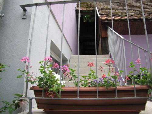 a pot of flowers in front of a house at Les Jardins de Lo're'an in Holtzwihr