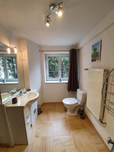 a bathroom with a sink and a toilet and a window at Les Jardins de Lo're'an in Holtzwihr