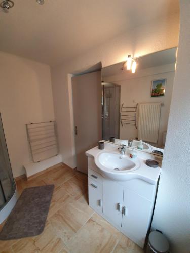 a bathroom with a white sink and a mirror at Les Jardins de Lo're'an in Holtzwihr