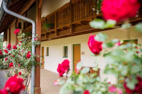 a building with red flowers in front of it at JUFA Hotel Tieschen in Tieschen