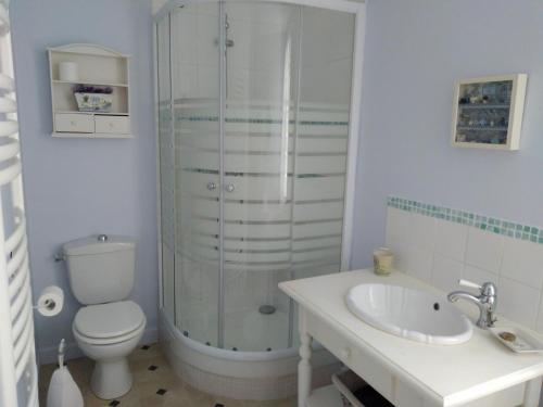 a bathroom with a shower and a toilet and a sink at Au Cœur de Ménestérol in Montpon-Ménestérol
