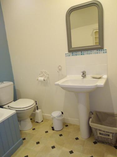 a bathroom with a toilet and a sink and a mirror at Au Cœur de Ménestérol Chambre Émotion in Montpon-Ménestérol