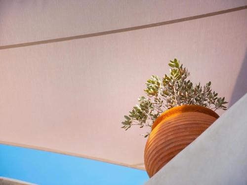 a plant in a vase sitting on a ledge at Anemi House & Villas in Oia