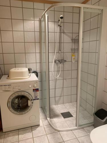 y baño con ducha y lavadora. en Norefri apartment with sauna and Wi-Fi at Nedre Norefjell en Noresund