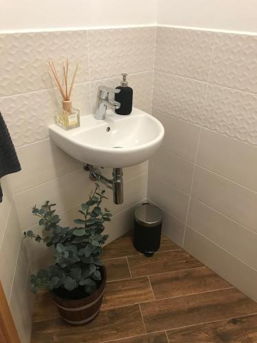 a bathroom with a sink and a potted plant at Mymara 19 in Bešeňová