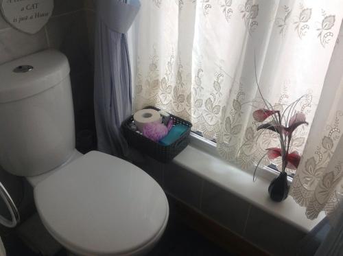 a bathroom with a toilet and a window with curtains at Sherwood Lodge in Skegness