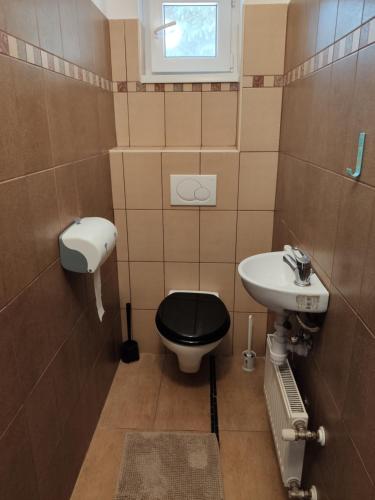 La salle de bains est pourvue de toilettes noires et d'un lavabo. dans l'établissement Star apartman, à Balatonalmádi