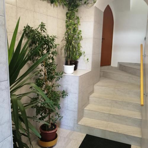 Apartmani Marijan