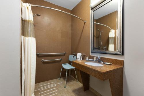 een badkamer met een wastafel en een spiegel bij La Quinta by Wyndham Alvin in Alvin
