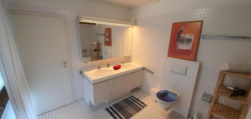 ein weißes Bad mit einem Waschbecken und einem WC in der Unterkunft Traumzimmer im Pfälzer Wald in Neustadt an der Weinstraße