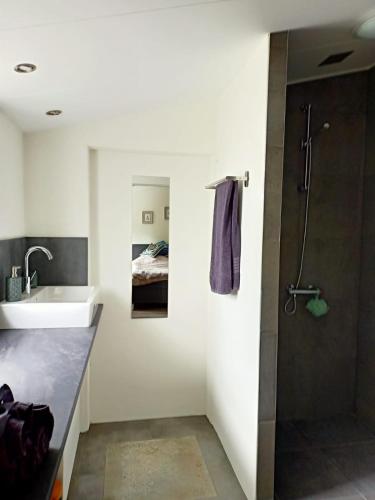 a bathroom with a sink and a shower at Bij de Vlaamse Schuur in Wagenberg