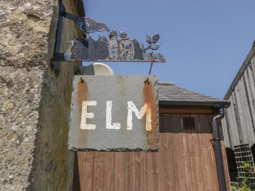 Elm – Photos 3