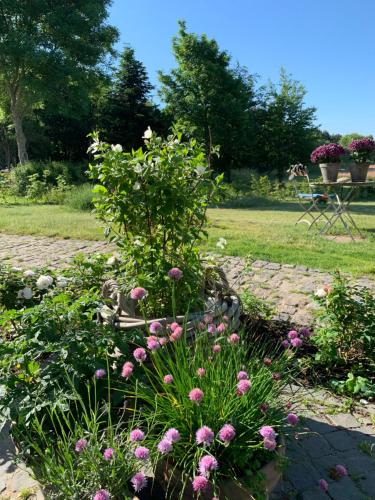 a flower garden with pink flowers in a yard at Mariegaardens Gæstehuse in Hillerød