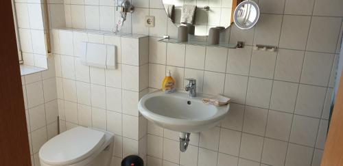a bathroom with a sink and a toilet at Gästehaus Strudthoff in Ganderkesee