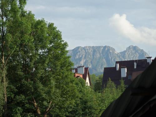 a group of buildings and trees with mountains in the background at Misia Chata in Zakopane