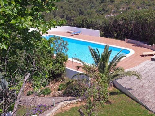 a swimming pool in a yard with a palm tree at Apartamento las camelias 18 in Alaior