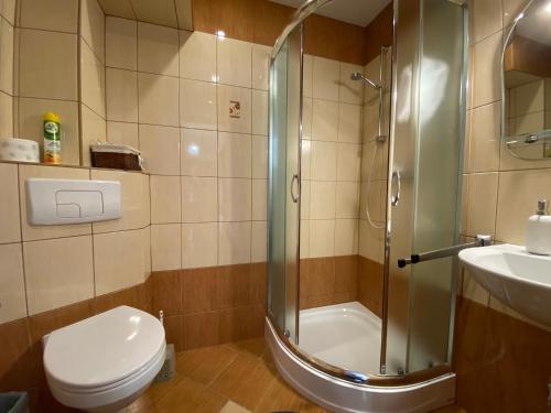 a bathroom with a shower and a toilet and a sink at APARTAMENT MARTYNKA in Szklarska Poręba
