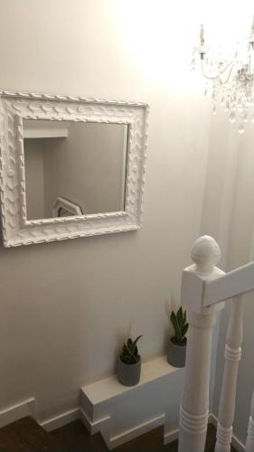 a mirror on a wall with two plants on a shelf at Apartamentos La Herradura Terraza in Haro