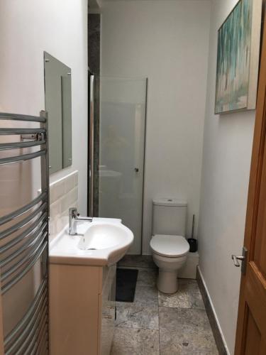 a bathroom with a sink and a toilet at Primrose in Shrewsbury