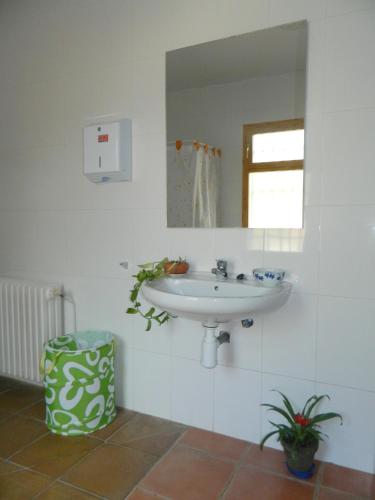 a bathroom with a sink and a mirror at El Cantalar in Arroyo Frio