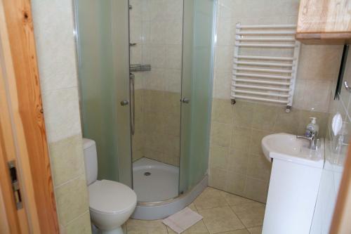 a bathroom with a shower and a toilet and a sink at Gościniec Mazurski in Ruciane-Nida