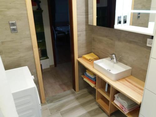 ein Bad mit einem Waschbecken und einem Spiegel in der Unterkunft Ferienhaus Mochorko in Sittersdorf