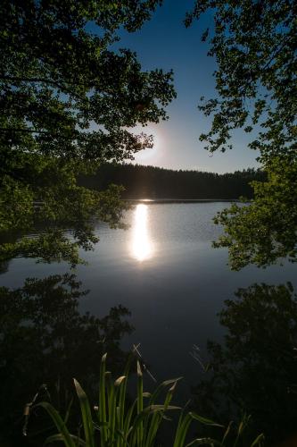 Φωτογραφία από το άλμπουμ του Hotel Rezydencja Mazury SPA & Lake σε Mrągowo