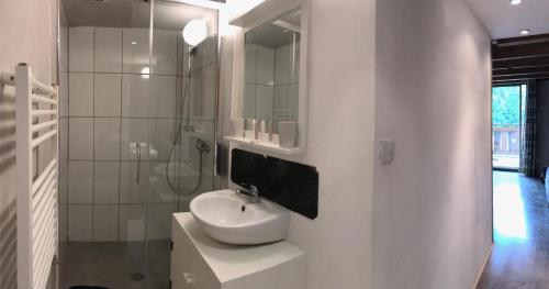 een witte badkamer met een wastafel en een douche bij Chez Julie in Thollon