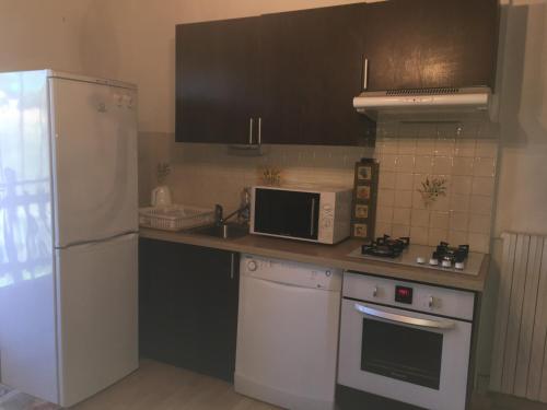 a kitchen with a white refrigerator and a microwave at Appartement au cœur du parc national des Cévennes in L'Espérou