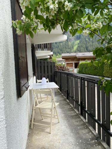 Appartement style chalet avec grande terrasse et parking prive