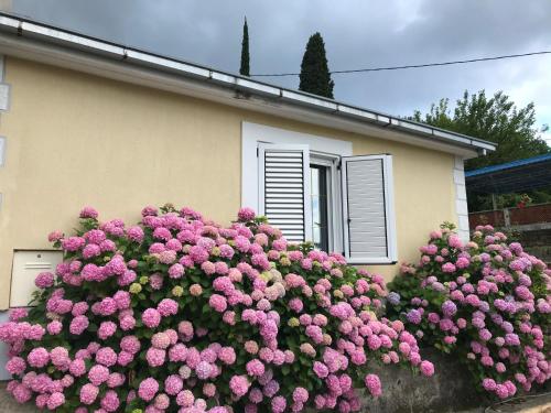 Gambar di galeri bagi Etno village Mihailovic di Herceg-Novi