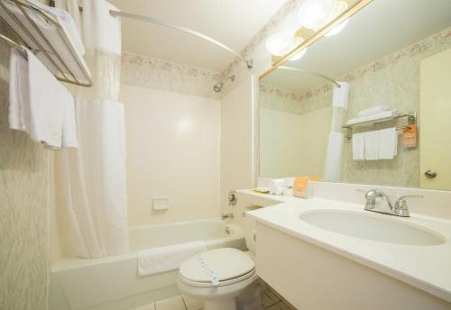 a white bathroom with a sink and a toilet at Flushing Central Hotel in Queens
