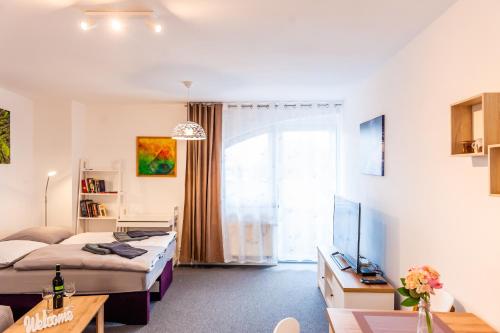 a bedroom with a bed and a tv in a room at Apartmány Summit in Bešeňová