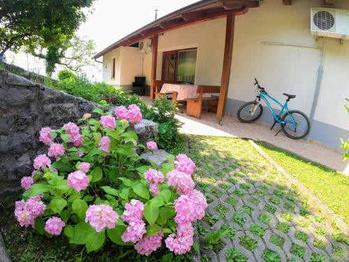 une maison avec des fleurs roses et un vélo dans la cour dans l'établissement Apartments Denis, à Tolmin