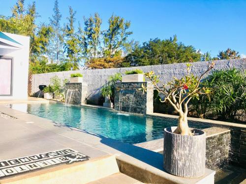 uma piscina com uma árvore num plantador ao lado em Villa de Luxe Mon Voyage 500m de la plage em Albion