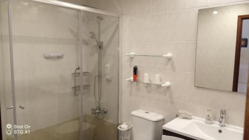 uma casa de banho com um chuveiro, um WC e um lavatório. em Apartamento Valados em Ponta Delgada