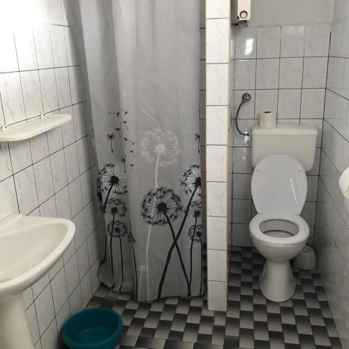 a bathroom with a toilet and a shower curtain with dandelions at U Pauli i Eryka in Łeba