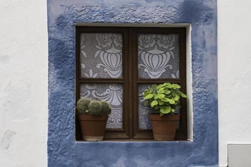 a window with two potted plants on a blue wall at Casas De Romaria in Brotas