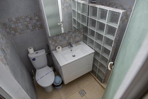 La salle de bains est pourvue de toilettes, d'un lavabo et d'un miroir. dans l'établissement Hotel Proton, à Legian