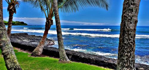 a beach with palm trees and a boat in the water at Ali'i Banyan Breeze in Kailua-Kona