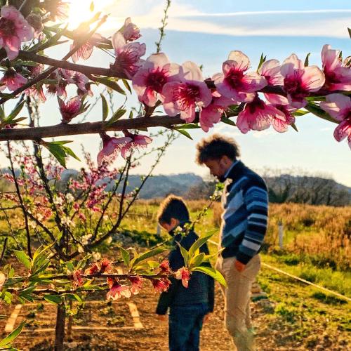 a man and a woman standing next to a tree with flowers at Chiaraluce Country House in Massignano