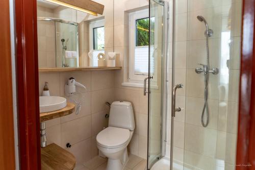 a bathroom with a toilet and a shower and a sink at Domki wczasowe AlexJan in Dąbki