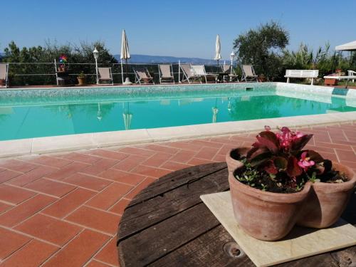 a garden area with a pool and a bench at Agriturismo Montemari in Palaia