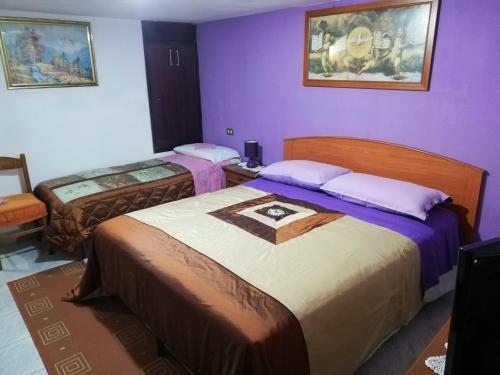 モンタルバーノ・エリコーナにあるAntony houseの紫の壁のドミトリールーム ベッド2台