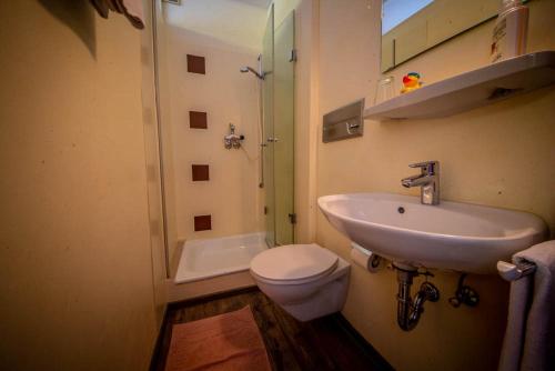 ein Bad mit einem Waschbecken, einem WC und einer Dusche in der Unterkunft Gästehaus Hubertus Garni in Bad Peterstal-Griesbach